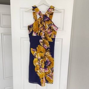 The Limited Dress Size 6